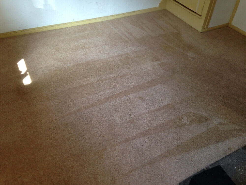 Carpet Cleaning Kineton Warwick