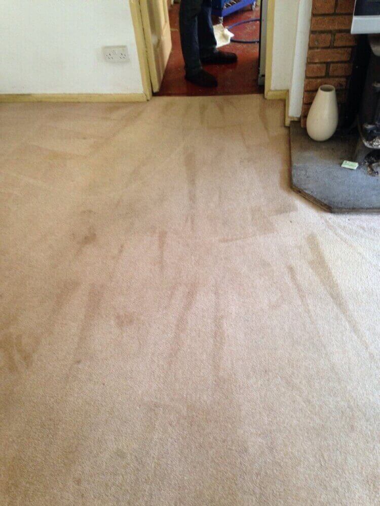 cheap carpet cleaning Warwick