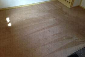 Carpet Cleaning Kineton Warwick